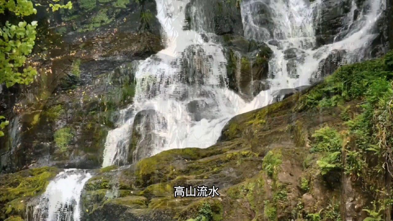 甲拌磷能和磷酸二氢钾兑在一起打果树吗?知识星球 - 专注知识分享与汇聚的平台